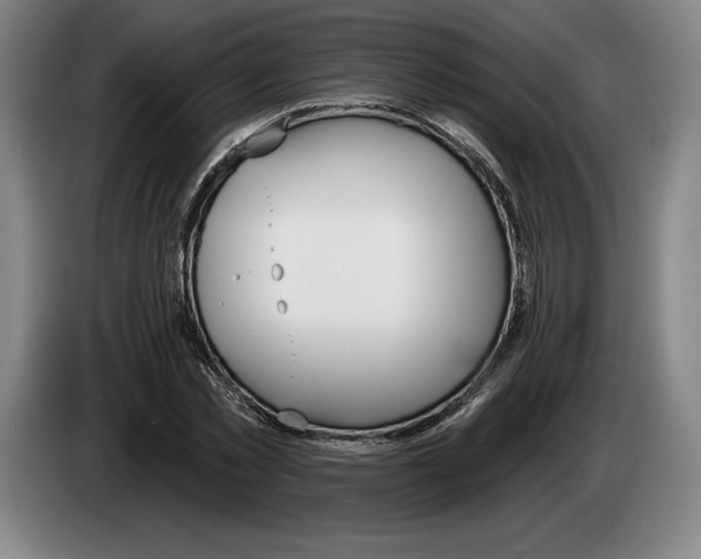 X0000083530781200703091511