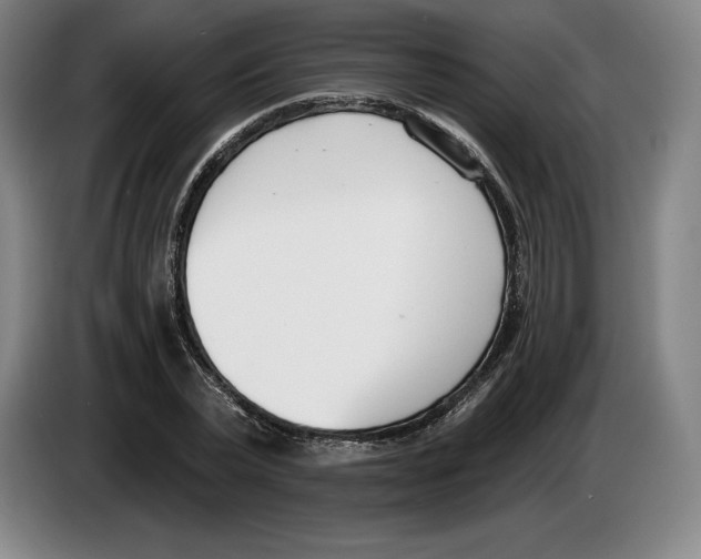 X0000083530783200703091511