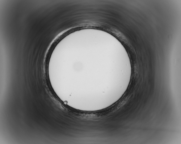 X0000083530784200703091511