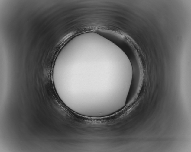 X0000083530785200703091511