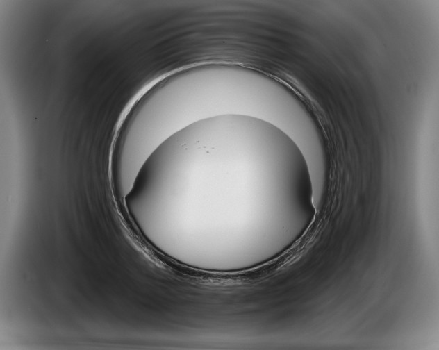 X0000083530788200703091511