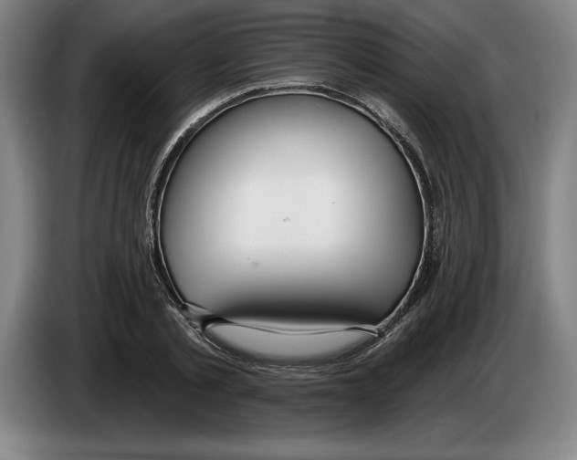 X0000083530789200703091511