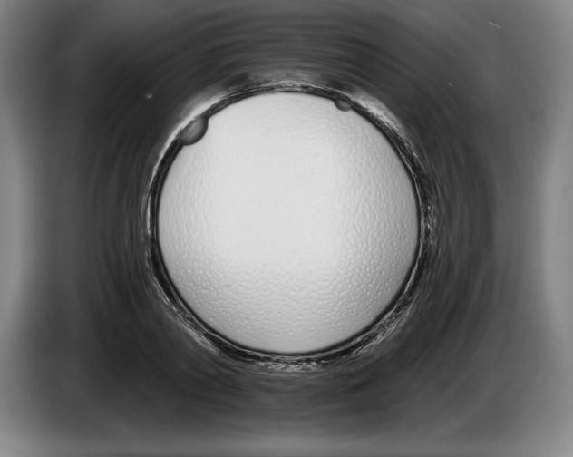 X0000083530790200703091511