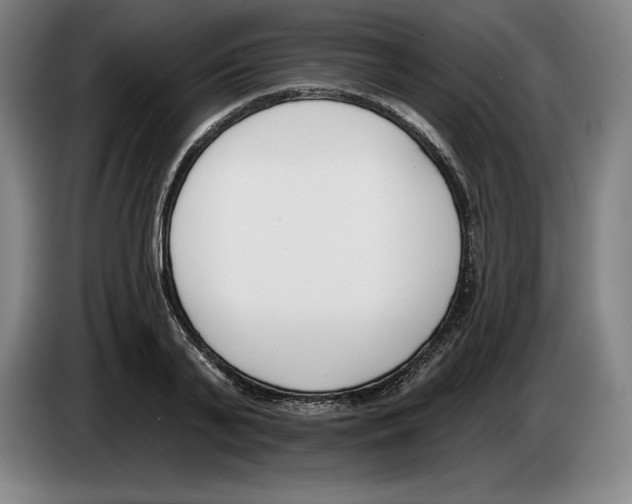 X0000083530791200703091511