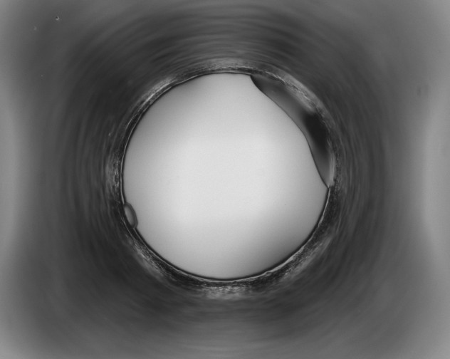 X0000083530793200703091511