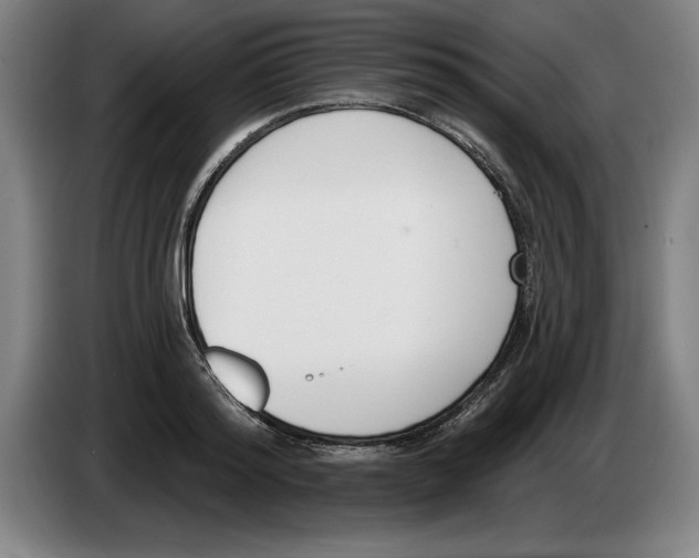 X0000083530796200703091511