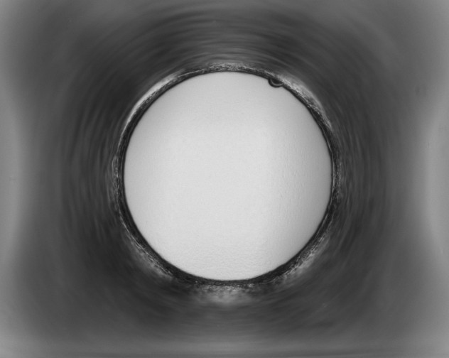 X0000083530798200703091511