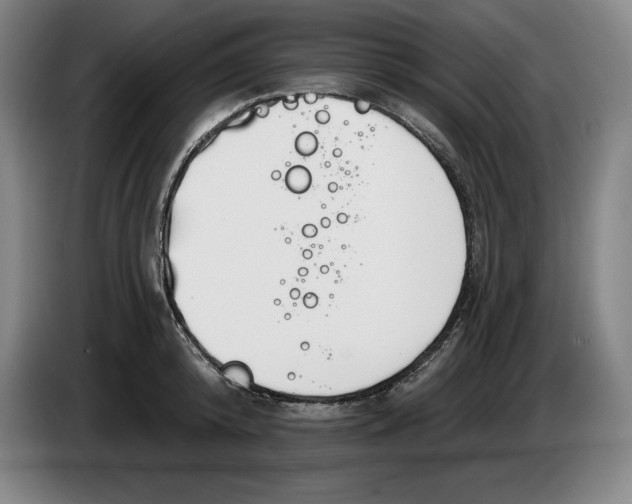 X0000083530800200703091511