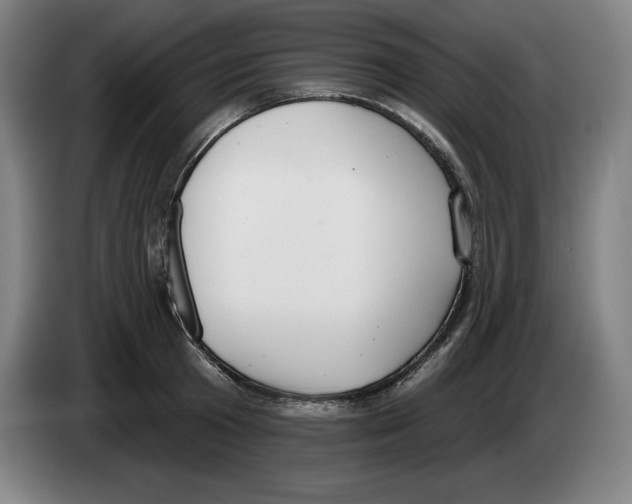 X0000083530801200703091511