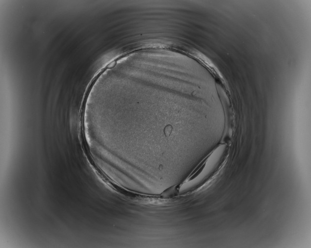 X0000083530802200703091511