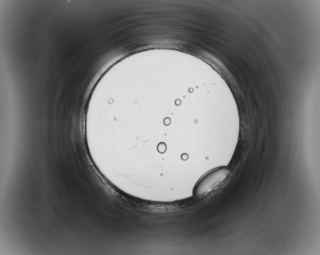 X0000083530804200703091511