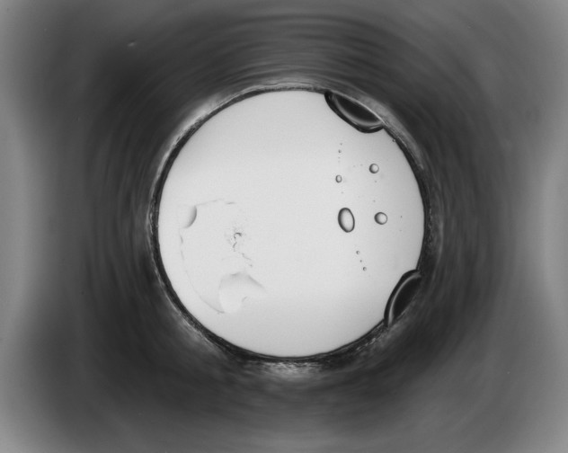 X0000083530805200703091511