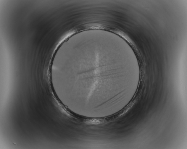 X0000083530806200703091511