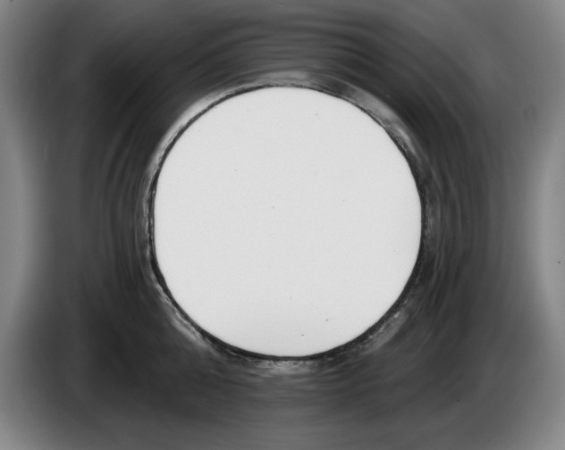 X0000083530808200703091511