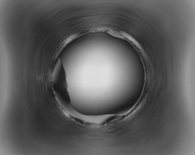 X0000083530809200703091511