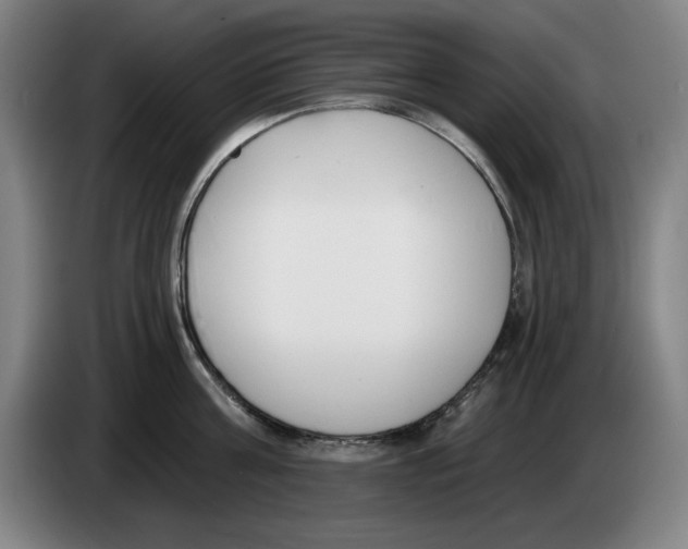 X0000083530811200703091510