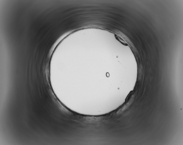 X0000083530812200703091510