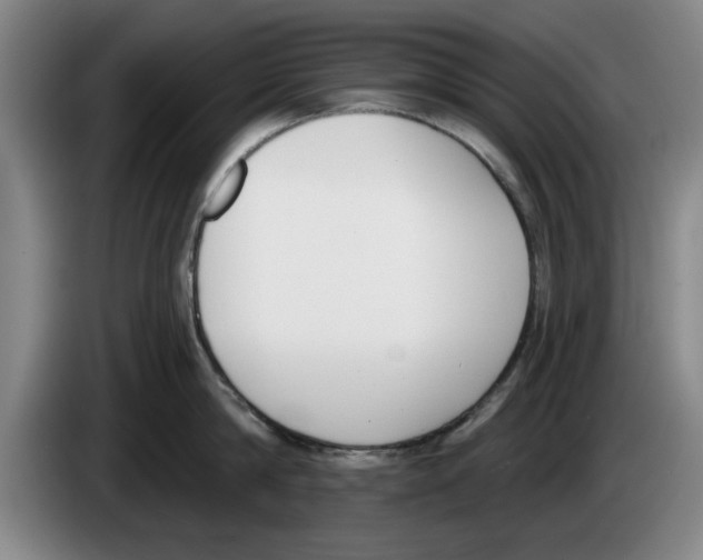 X0000083530814200703091510