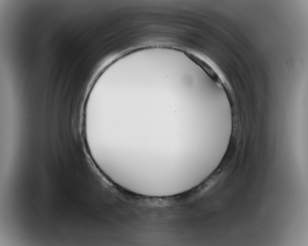 X0000083530815200703091510