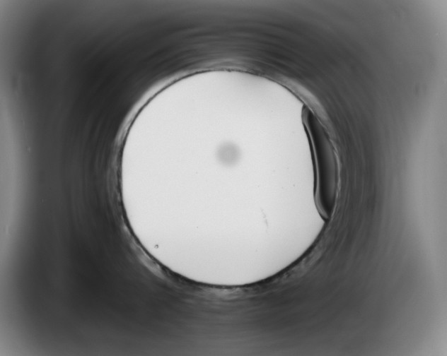 X0000083530816200703091510