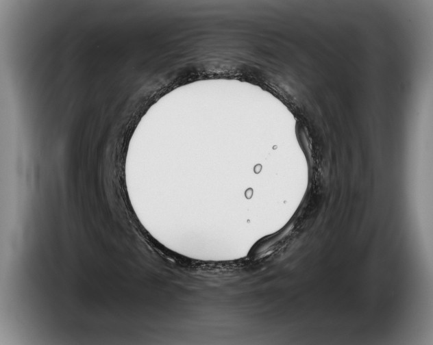 X0000083530817200703091510