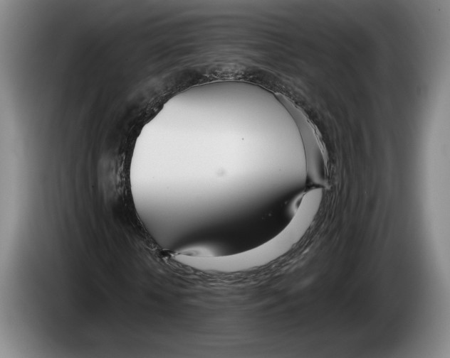 X0000083530818200703091510