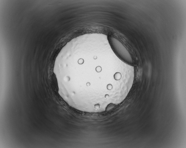 X0000083530819200703091510