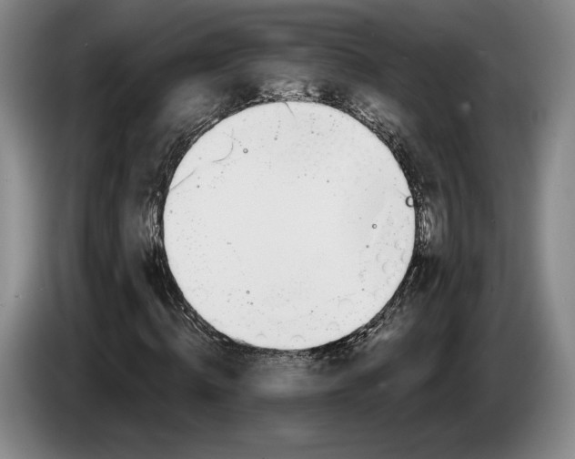 X0000083530820200703091510