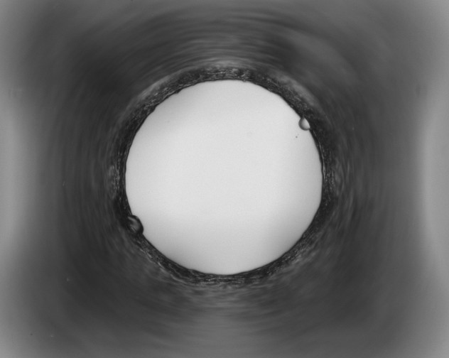 X0000083530821200703091510