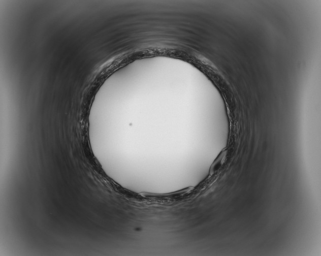 X0000083530822200703091510