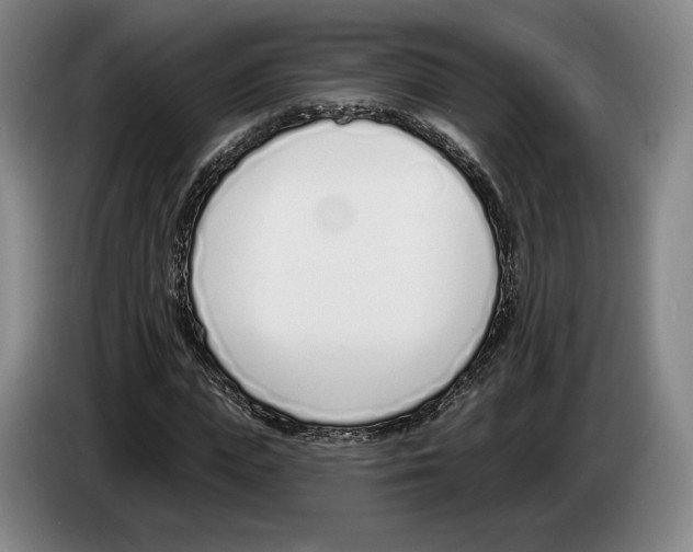 X0000083530823200703091510