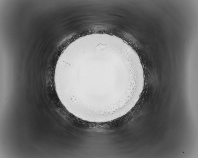 X0000083530824200703091510