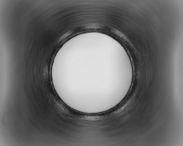 X0000083530825200703091510