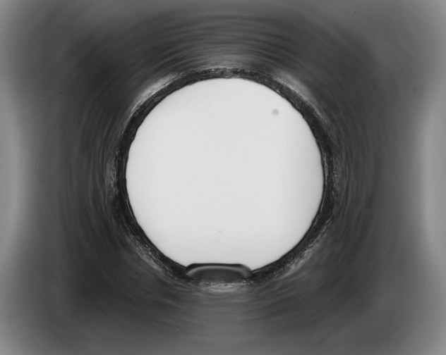 X0000083530826200703091510