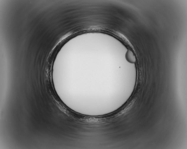 X0000083530827200703091510