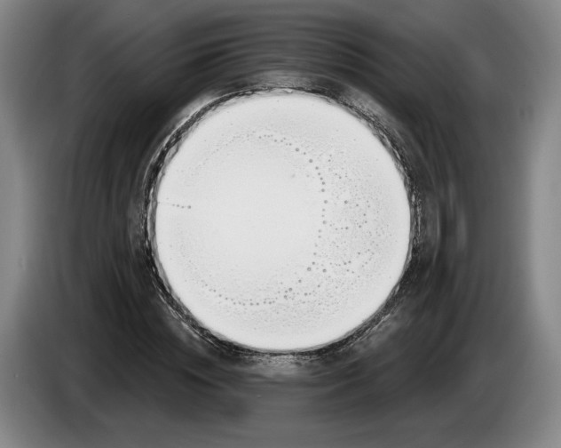 X0000083530828200703091510