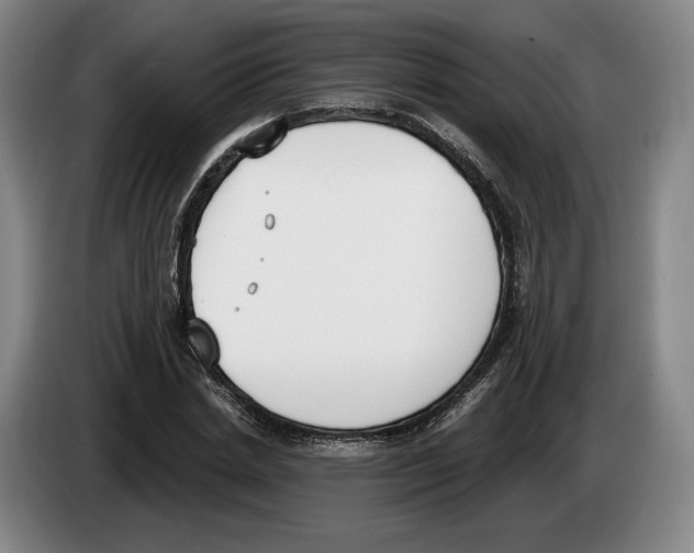 X0000083530830200703091510