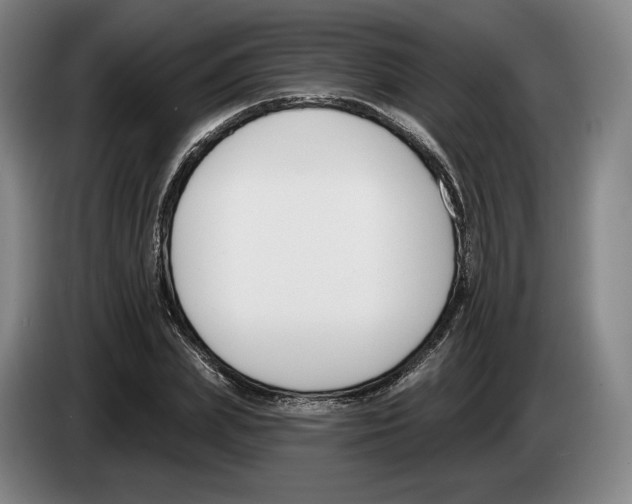 X0000083530831200703091510