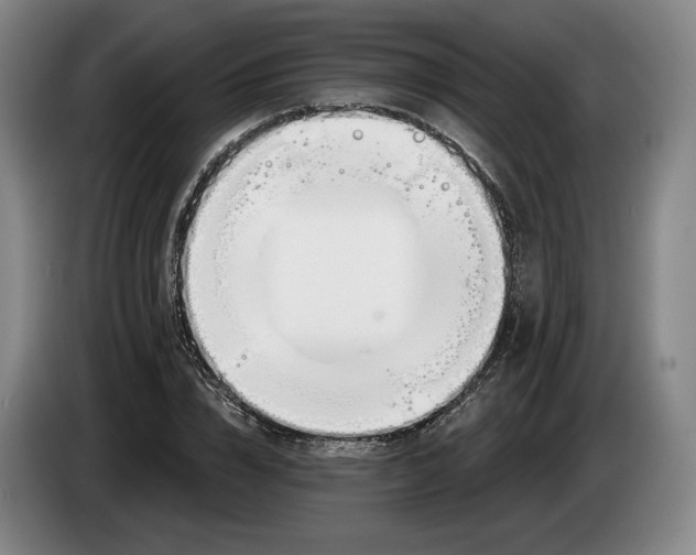 X0000083530832200703091510