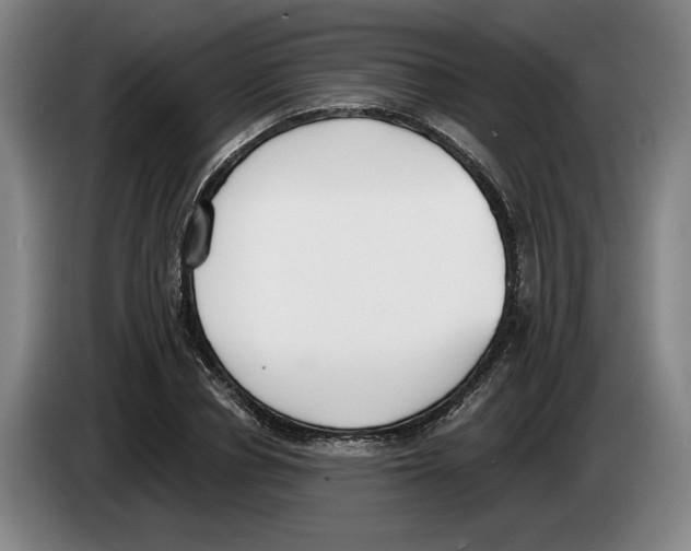 X0000083530834200703091510