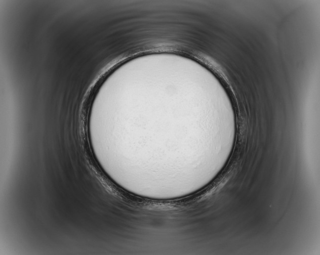 X0000083530835200703091510