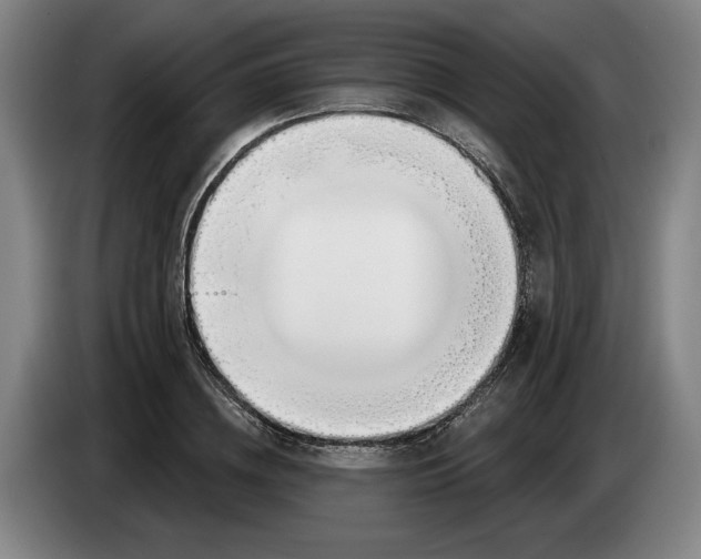 X0000083530836200703091510