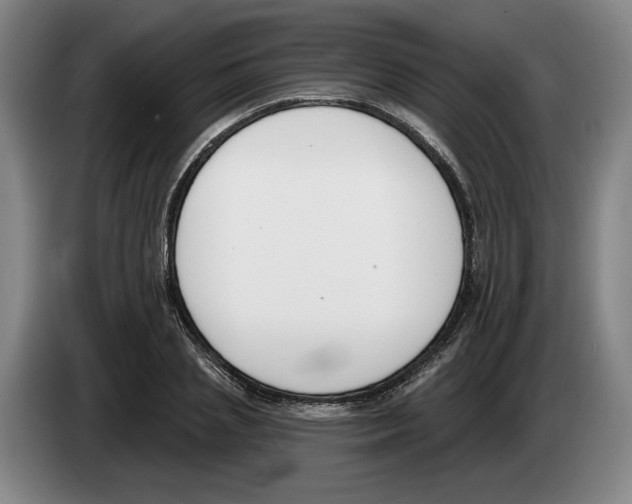 X0000083530837200703091510