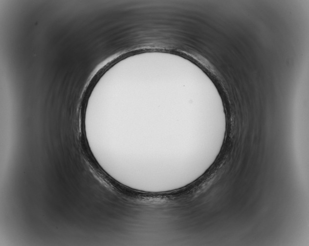 X0000083530838200703091510