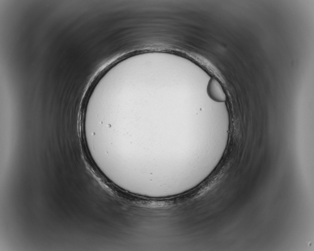 X0000083530839200703091510