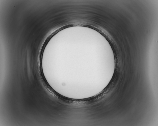 X0000083530840200703091510