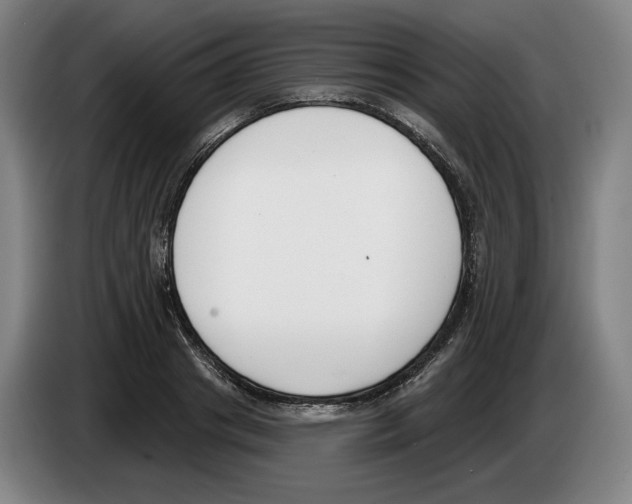 X0000083530841200703091510