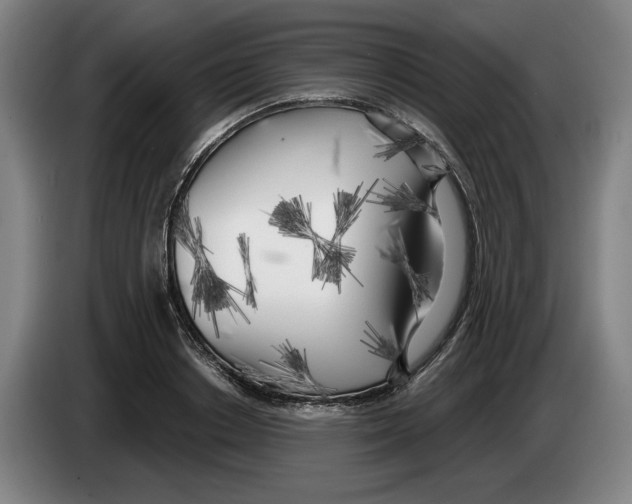 X0000083530842200703091510