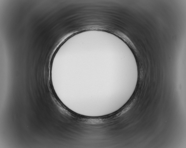 X0000083530844200703091510