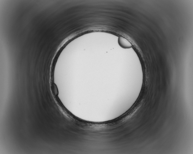 X0000083530845200703091510